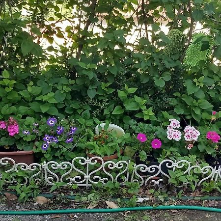 Apartman Svilno غييكا المظهر الخارجي الصورة
