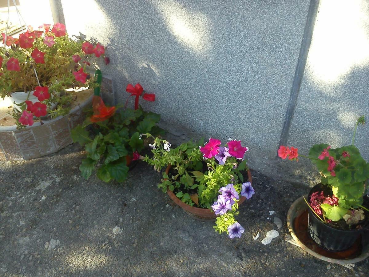 Apartman Svilno غييكا المظهر الخارجي الصورة